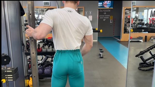 Arms workout in the gym and Flexing смотреть онлайн