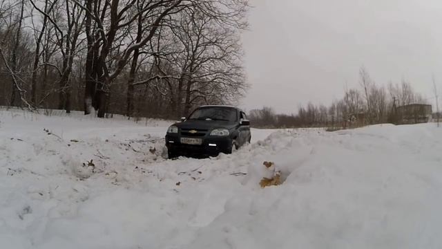Покупай шевроле ниву , говорили они, будет весело!