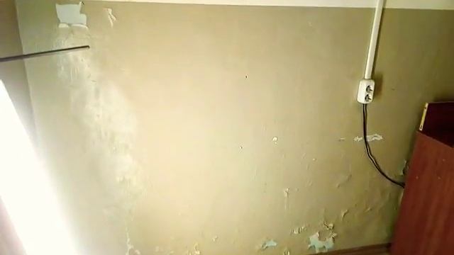 Столярная мастерская на 8 кв.м.