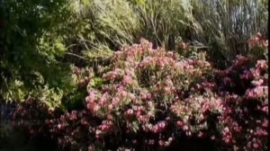 Золотой Глобус - #46: Киклады