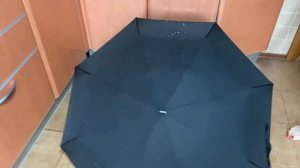 Зонт мужской для водителей