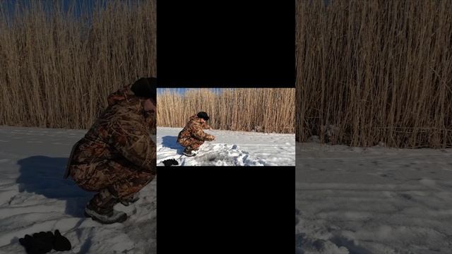 РЫБАЛКА в Казахстане #река Сары су#fishing #shorts #щука #pike отлично порыбачили