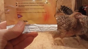 Дезинфекция курятника Экоцид С