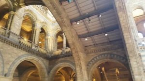 20180520 Natural History Museum in London