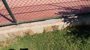 Обзор комплекса в Турции Crown city  район Авсалар