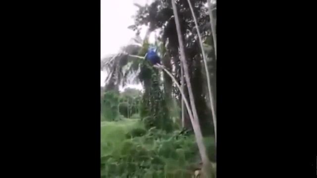 Приколы № 4 Смешное видео! Best fails New Vine (+18) смотреть онлайн