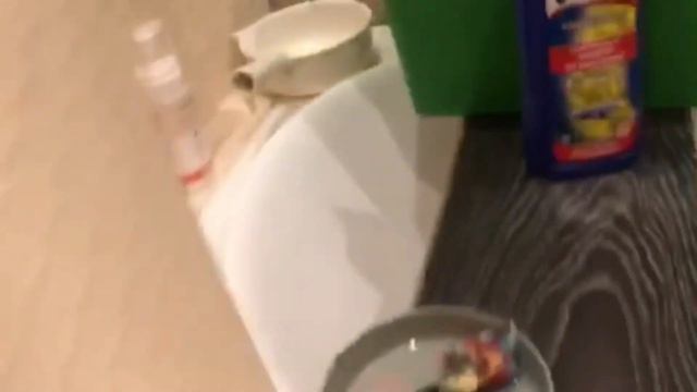 Чем мы моем щенка той-пуделя