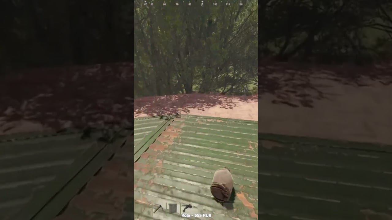 Целеустремлённость его все  #rust #раст #френдли