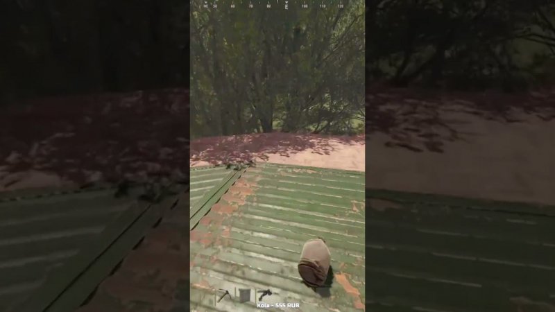 Целеустремлённость его все  #rust #раст #френдли