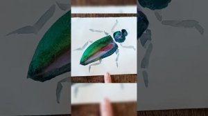 акварель рисования творчество живопись жук