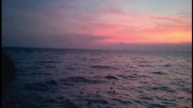 Grateful Dead - Cassidy - Live at the Worcester Centrum - 04/04/1987 смотреть онлайн