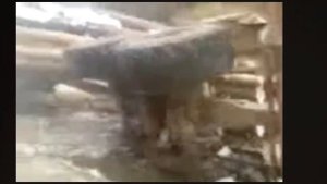 Экстремальная работа и неудачи на лесовозе.