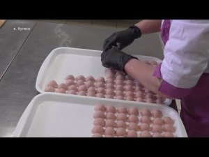 Производство полуфабрикатов: бизнес семьи Яичниковых