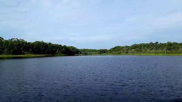 Parque Nacional Yasuní-Yasuní National Park Amazon, Ecuador смотреть онлайн
