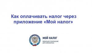 Как оплачивать налог через приложение «Мой налог»