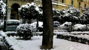 Nevicata vista notturna e diurna_2012.avi