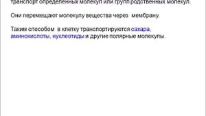Строение и функции мембраны клетки