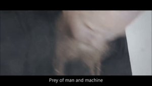 SABATON - Screaming Eagles (HD) (SUBTITLED)