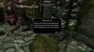 Skyrim Intel HD 3000 (i7-2760QM) test 2
