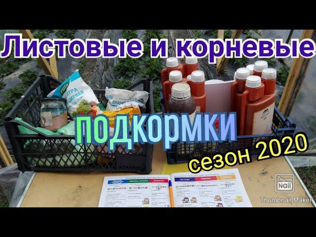 Листовые и корневые подкормки для клубники.