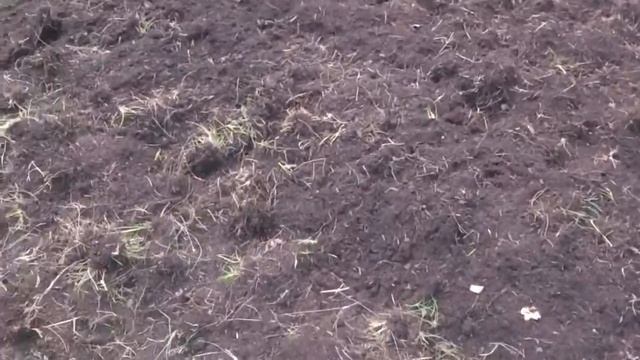 Почвенная фреза В83 Breviglieri (Италия) на МТЗ-82. смотреть онлайн