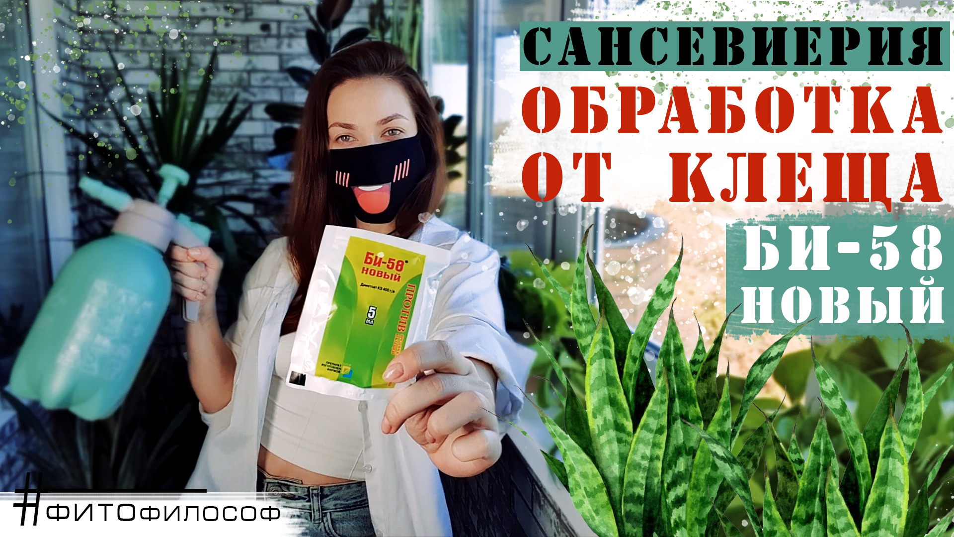 КЛЕЩ на САНСЕВИЕРИИ ? Обработка препаратом БИ-58 НОВЫЙ. Инсектоакарицид.