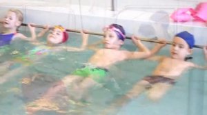Плавание Подготовительная Группа