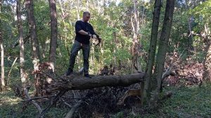 Отдых на природе и стрельба из традиционного лука.