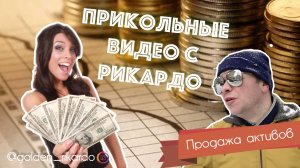 [Продажа Активов] Сезон 2 Выпуск #14 Комедийный СЕРИАЛ про Рикардо Золотиньо