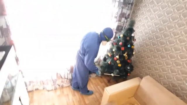 Дезинфекция от клопов в квартире от Чикой-Сервис смотреть онлайн