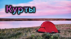 Куртинское водохранилище | Ящерица, черепахи, атайки и маки | 6-9 мая 2024