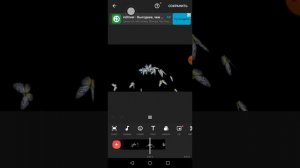 Урок по монтажу видео за 2 минуты. Как ускорить и замедлить видео в приложении Inshot.