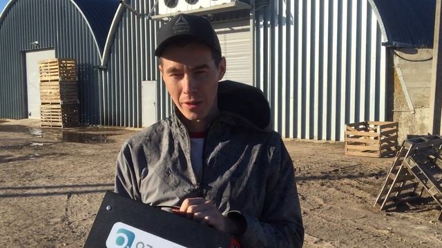 промышленный озонатор ozonedex 40G-X на овощехранилище смотреть онлайн