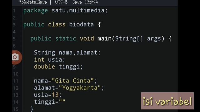 variabel dan type data pada biodata di Java смотреть онлайн