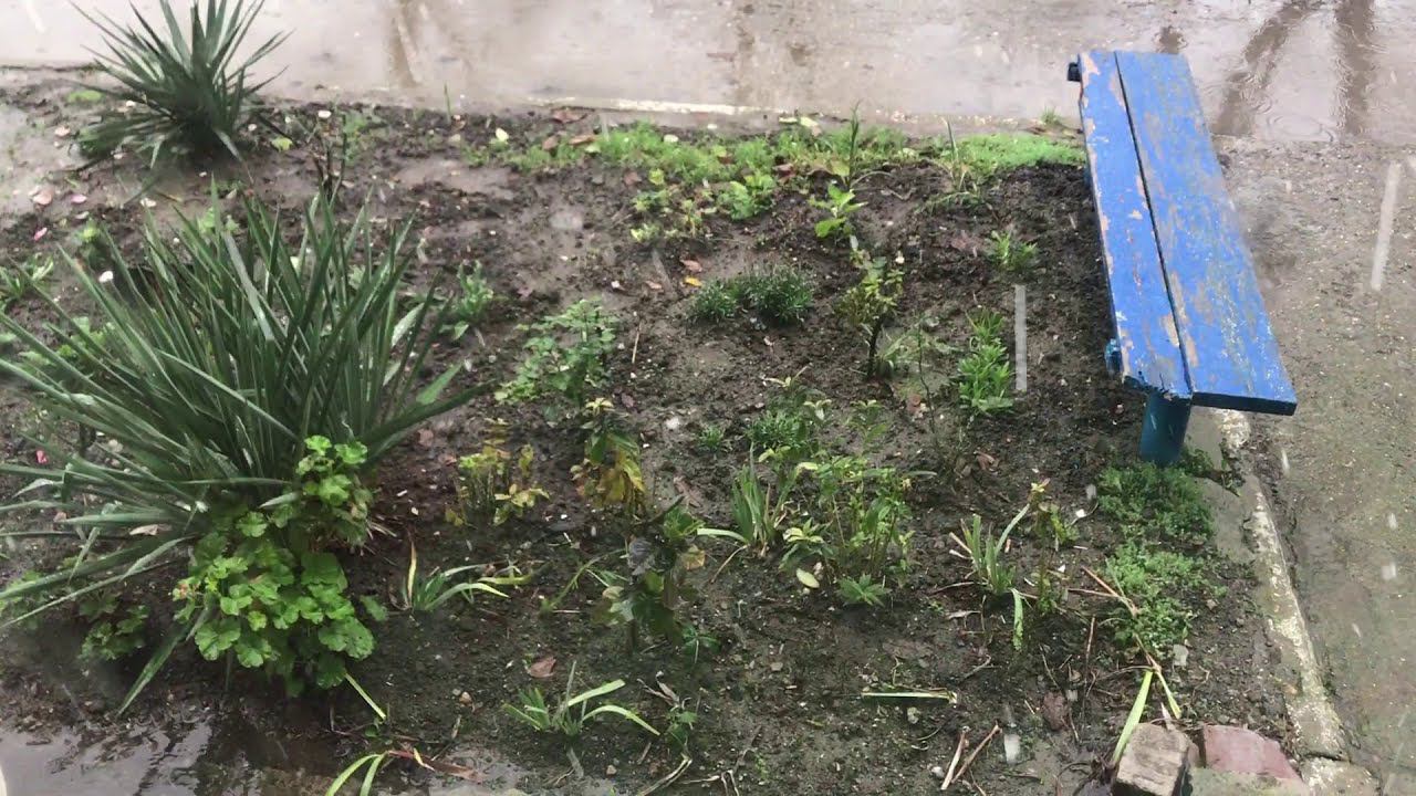 Снег на  Кубани. смотреть онлайн