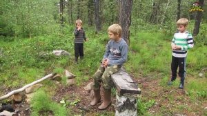 За черникой в тайгу. Ч.2 - сбор черничники, лагерь. (07.19г.) Семья Бровченко.