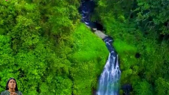 Лео Рохас / Leo Rojas.mp4