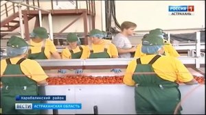 Астраханский завод по производству томат пасты в 2 раза увеличил свои мощности