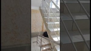 Обзор отеля "Звёздный", Адлер, пляж "Чайка" октябрь 2023г.