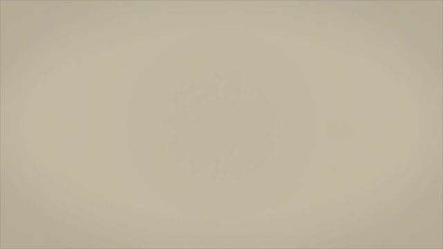 Для бухгалтера: ФНС описала, как правильно сдать декларацию по НДС (№ ГД-4-3/4440@).