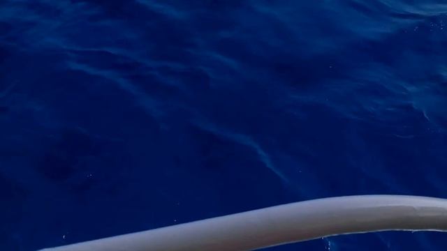 Остров Утопия. Египет Хургада. смотреть онлайн