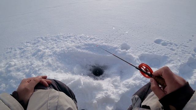 Зимняя рыбалка на Белоярке с эхолотом Deeper PRO