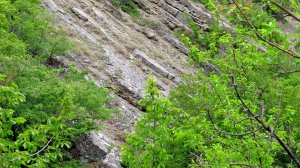 По ущелью Кара-Кишла.