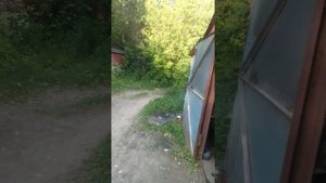 Чезет 250 кросс