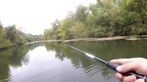 ВОБЛЕР УБИЙЦА ЩУКИ - JACKALL MAGSQUAD 160 !!! ЛОВЛЯ КРУПНОЙ ЩУКИ НА большие приманки! ПСЕЛ 2022