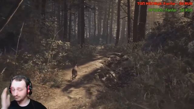 [Ночные Посиделки] Blair Witch - #1 - Выдвигаемся на поиски смотреть онлайн