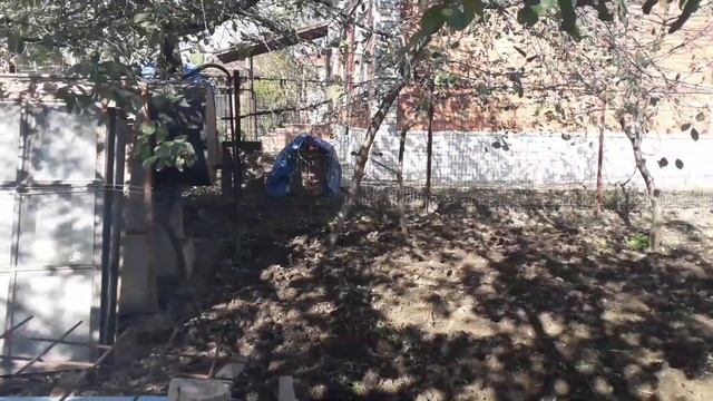 я на #даче #землю #пахал у вас #погода было + 25 как лето ? 9 2021 ?? смотреть онлайн