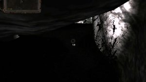 Сталкер ОП-2 Документы Воронина Забытый Лес