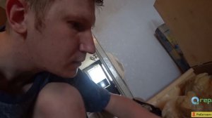 КОЖЕЕДЫ В КВАРТИРЕ: откуда берутся, чем опасны и как от них избавиться