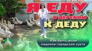 Я еду в деревню к деду! Как быть, если надоела городская суета